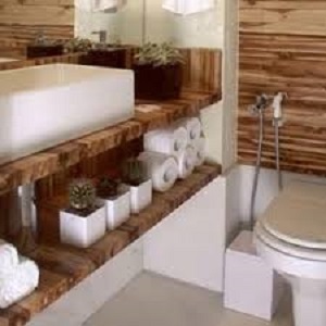 banheiro ecologico